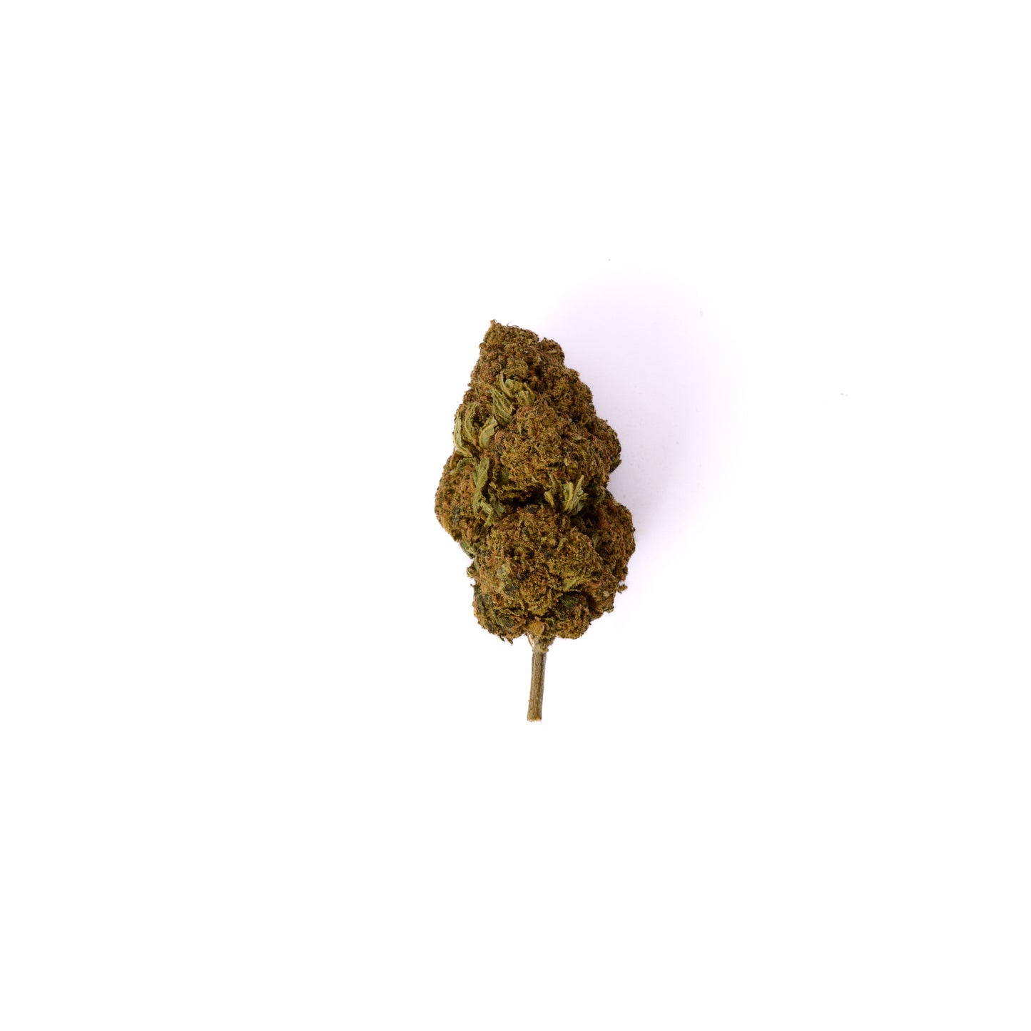 Dragon Bloom CBD