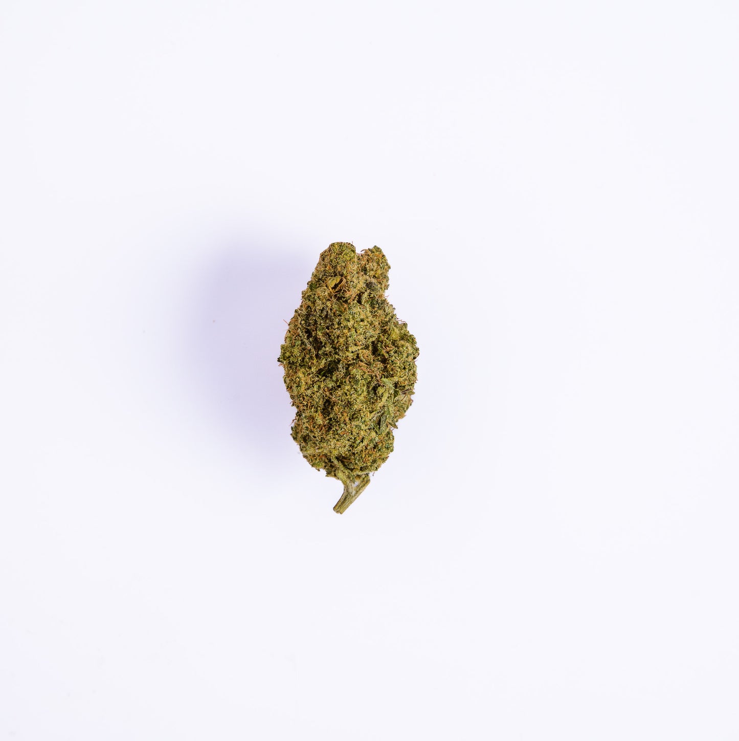 Frost Freez CBD
