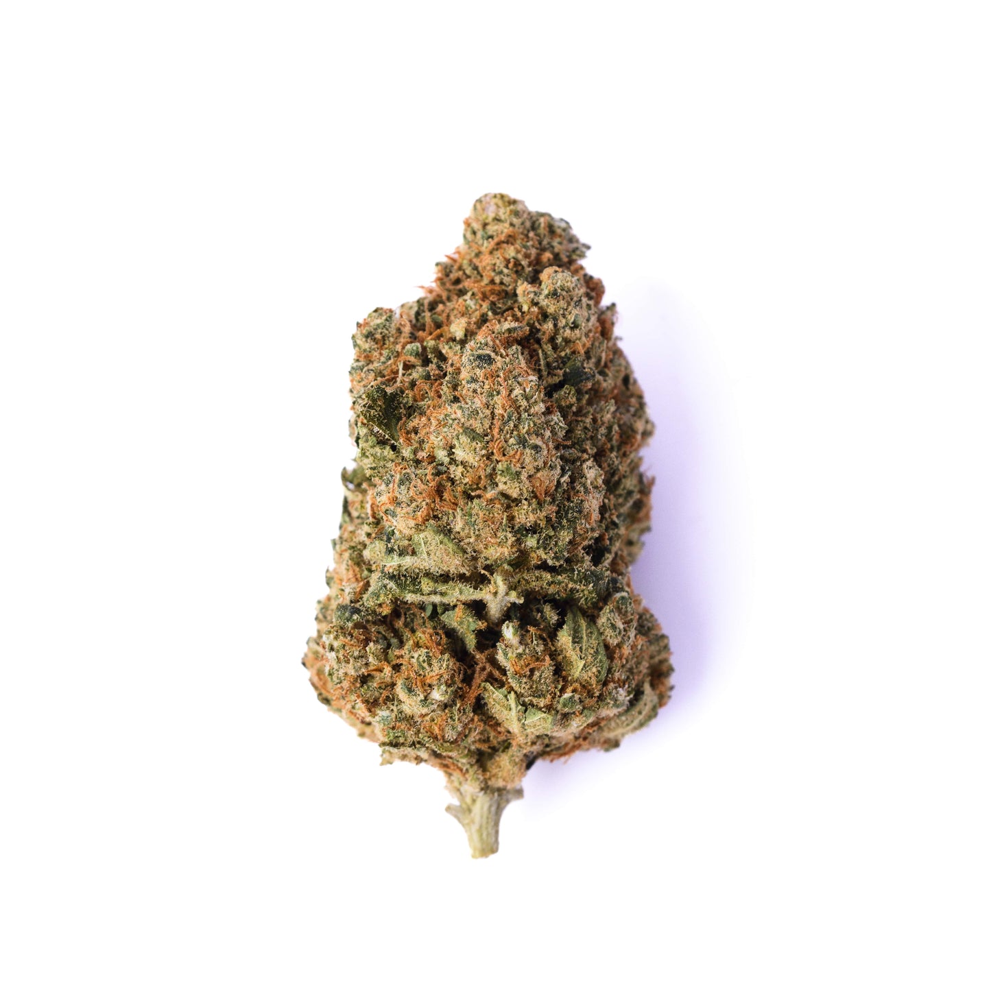 Vainilla Cookies CBD